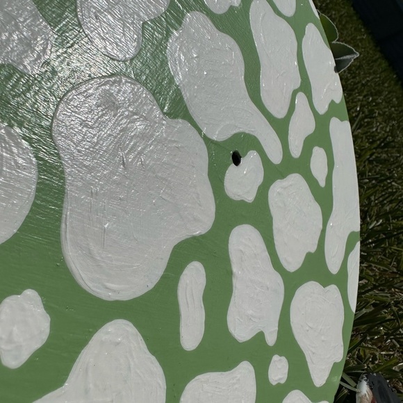 Painted Vinyl - Picture 3 of 3